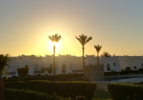 Rosną ceny wiz turystycznych do Egiptu. Nie daj się naciągnąć