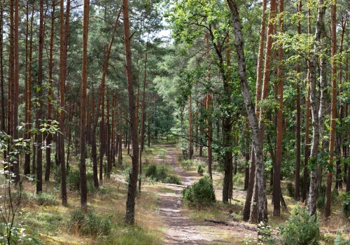 Kaarzyna Batko-Tołć: Przyjdzie kara na greenwashing i fact-checking washing?