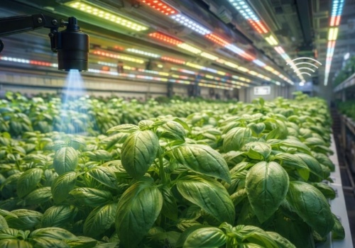 Będą naświetlać uprawy, żebyś płacił mniej za jedzenie. Ma to sens