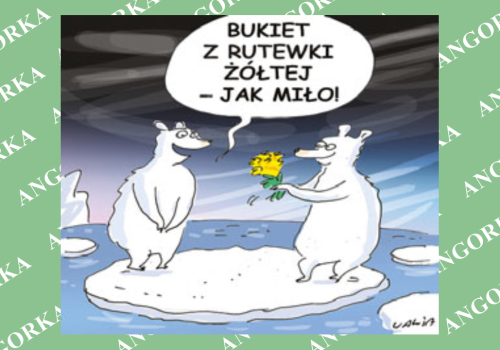 Arktyka zagrożona inwazją. Zadomowi się tam ponad 2 tys. nowych gatunków roślin