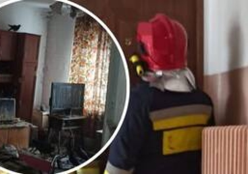 Wrocławianka zrobiła z mieszkania gołębnik. Ptaki załatwiały się na meble i telewizor