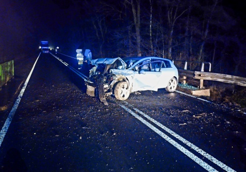 Pijany kierowca seata ukrywał się w zaroślach. Zatrzymanie w Jankowicach