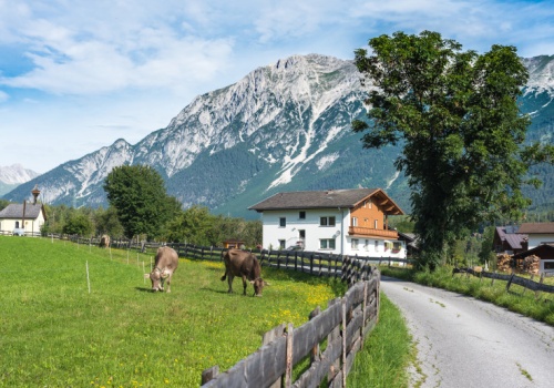 23 proc. ekogospodarstw w Austrii. Popyt rośnie, ale jest bariera w rozwoju