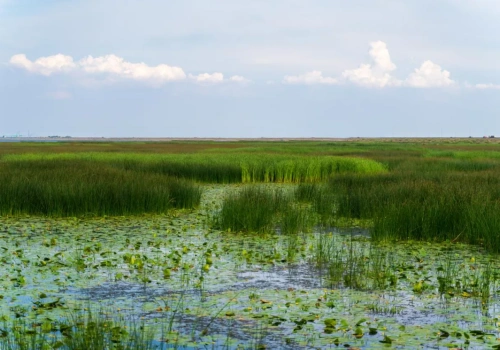 Rolnicy kontra ministerstwo, czyli walka o tysiące hektarów gruntów