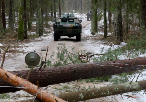 Żołnierze, leśnicy i strażacy na wspólnym szkoleniu z wykonywania zapór inżynieryjnych