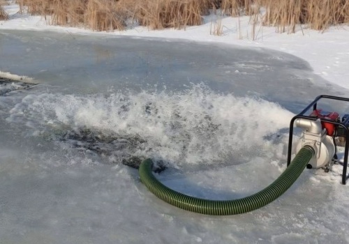 Ryby giną z powodu lodu. „Trwa wyścig z czasem, aby nie dopuścić do katastrofy ekologicznej”