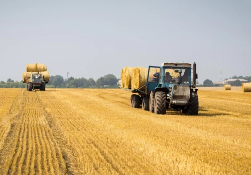 Jak ukraińscy rolnicy obniżają koszty w gospodarstwach rolnych?
