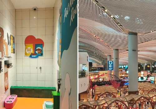 Niezwykłe rozwiązanie na tureckim lotnisku. Szukaj jednego oznaczenia