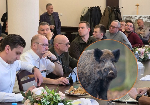 Spór o walkę z ASF w powiecie piotrkowskim. Rolnicy biją na alarm