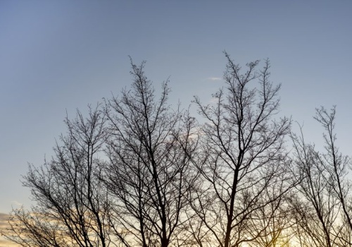 Ciepły czwartek w Łódzkiem. Pogoda na 26 lutego