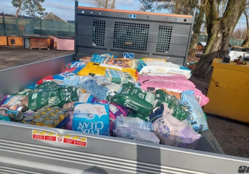 Dar, który odmienił los psów i kotów z inowrocławskiego schroniska