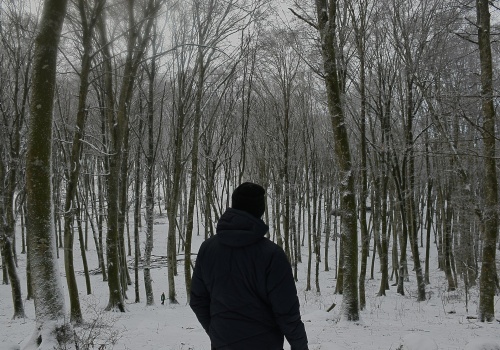 „Drzewa-sprinterzy” zagrażają lasom na całym świecie. Ostrzeżenie ekspertów