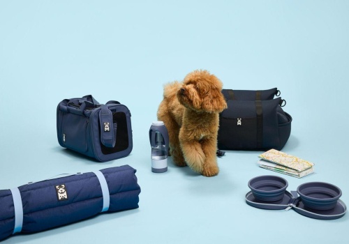 Renault kocha psy i koty. Nowa kolekcja The Originals powstała właśnie dla nich