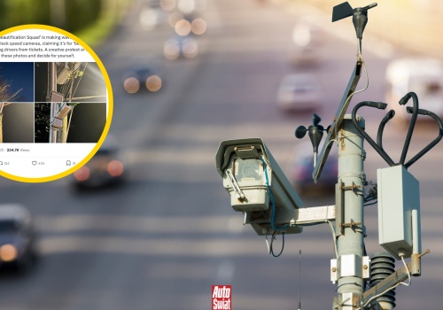 Kwiaty zamiast mandatów. Tak amerykańscy aktywiści walczą z fotoradarami