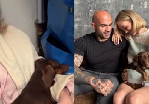 Eksnarzeczona Akopa Szostaka relacjonuje WYPROWADZKĘ z mieszkania i przeżywa rozłąkę z pupilami: 