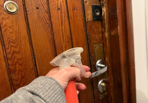 Kilka psiknięć na drzwi wejściowe teraz, a wiosną sobie podziękujesz. Mało kto zna ten trik