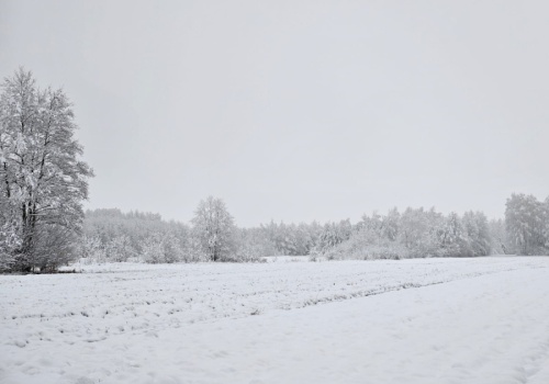 Woda na polach, ale nie w glebie. Groźny scenariusz dla upraw