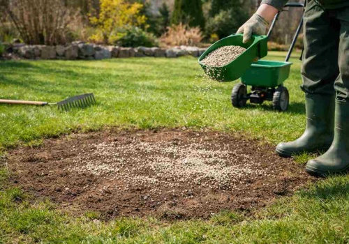 Rozsyp w marcu na trawniku. Mech i łyse placki znikną na cały sezon