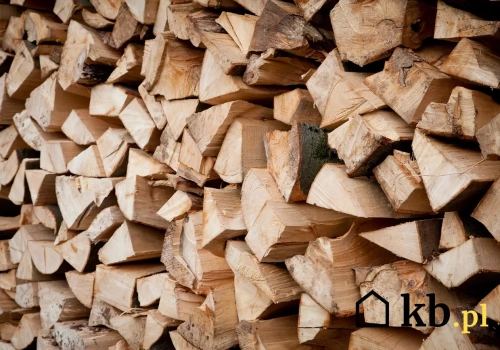 Drewno, pellet czy gaz? To porównanie może zmienić twoje rachunki