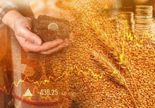 Dlaczego cena pszenicy spada? Środowa sesja na giełdzie Matif „na czerwono”