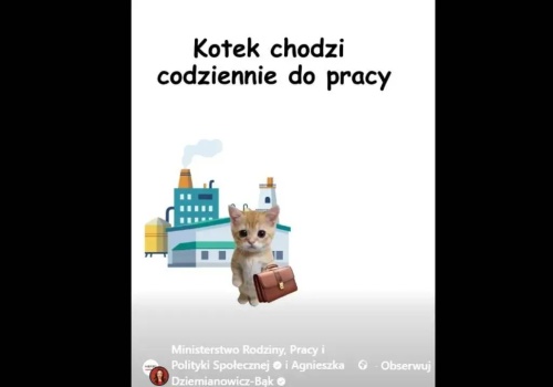 Resort pracy wytłumaczył problem na... kotkach. 
