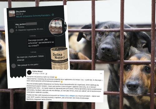 Ktoś wystawił na Vinted karmę, która miała być darowizną dla schronisk, producent zwraca uwagę, że to trochę żenada