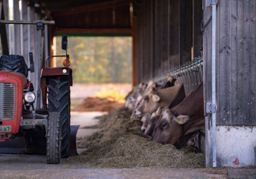 Rolnicy wciąż kręcą się w spirali długów. W skrajnych przypadkach spłata zajmuje nawet 1200 dni