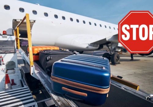 Celnicy sprawdzili jej bagaż po powrocie z wakacji. Niemka surowo ukarana