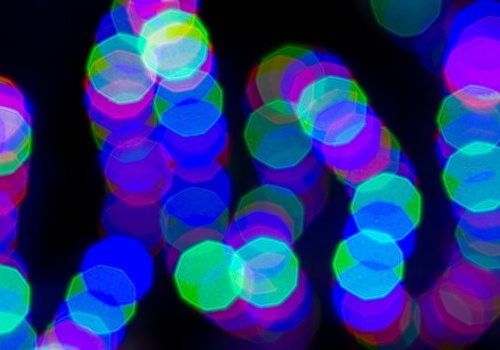 Zamiast walczyć o ideał, zbudowali układ, który wybacza niedoskonałości