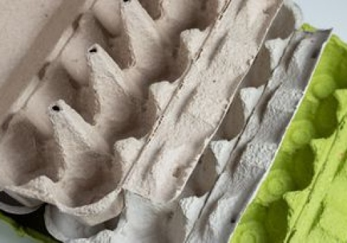 Gdzie wyrzucać opakowanie po jajkach? Błąd jest nagminny