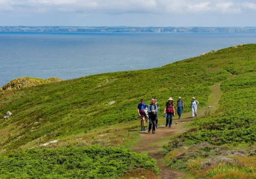 Cały miesiąc na pięknej wyspie za darmo. Jest jeden warunek