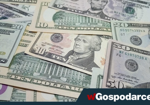 Nvidia utrzymuje tempo, mimo oddalającego się cięcia stóp w USA