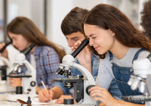 Czy mikrobiolodzy z UJK pomogą osobom chorym na RZS?