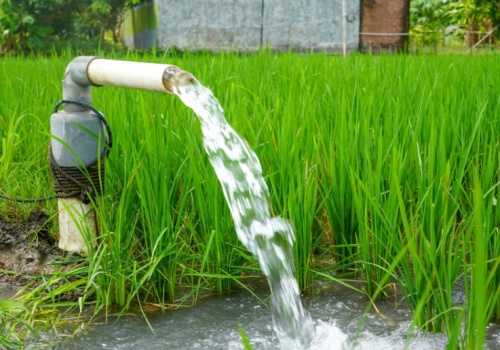 Woda ze studni. Limity i stawki za pobór wody z własnych ujęć w gospodarstwach rolnych