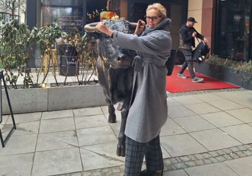 Chwycić byka za rogi i… wygrać! 