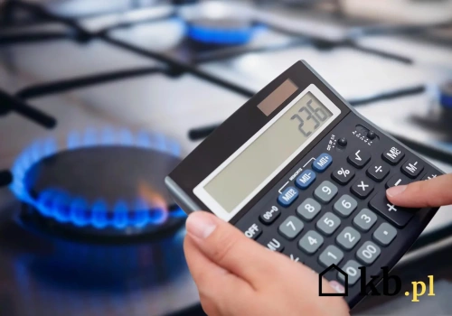 Pierwsza zima nowym domu i pierwszy rachunek za gaz. 