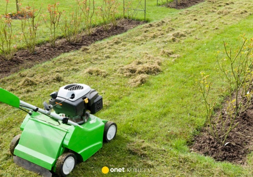 Trawnik po zimie wymaga uwagi. Kluczowe wiosenne zabiegi