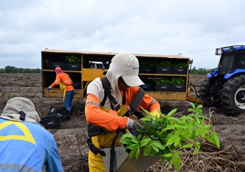 Droga do Mercosur otwarta. Pierwsza ratyfikacja umowy, zaraz po niej następna
