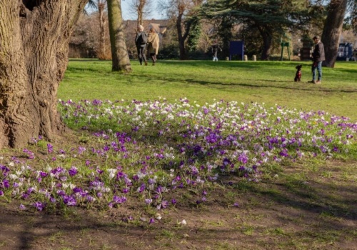 Czy czeka nas ciepły i słoneczny weekend?  Warto skorzystać z pięknej pogody!