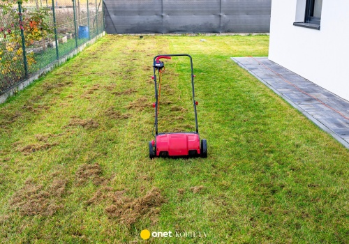 Pleśń śniegowa i mech niszczą trawniki. Proste sposoby na zdrową murawę