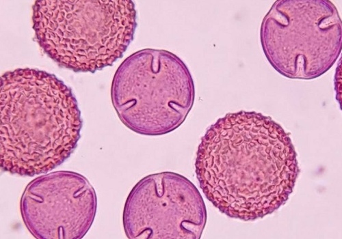 Detektory w całej Polsce zaczęły szaleć. Eksperci biją na alarm