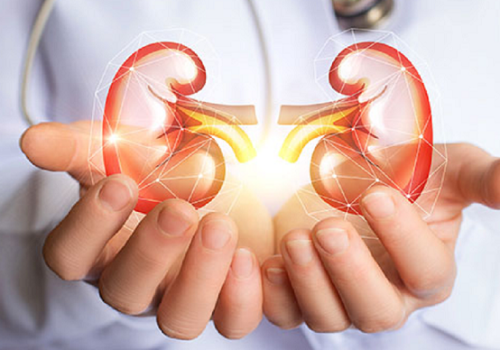 Piętnaście najlepszych naturalnych produktów spożywczych dla nerek