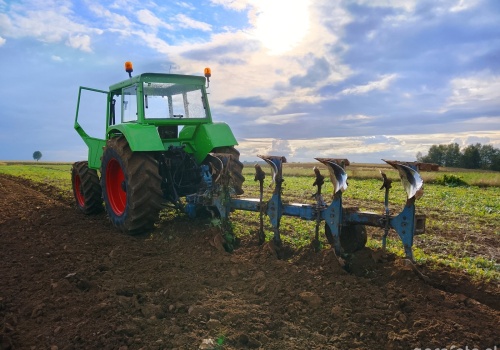 Ceny ziemi rolnej GUS: 118 tys. zł za hektar. Podlaskie najdroższe