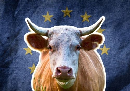 Mercosur uruchomiony. Czekam teraz na mojego taniego steka z Argentyny