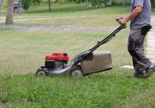 Pierwsze koszenie trawy po zimie. Lepiej nie popełniaj błędu