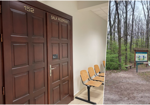 Wkrótce decyzja sądu w sprawie nastolatka, który w Lasku Lipie śmiertelnie ugodził nożem rówieśnika