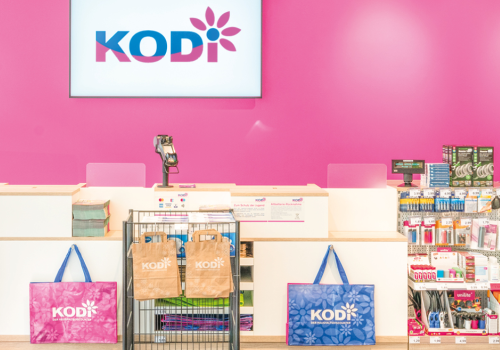 Konkurent Action i Tedi wraca do gry po upadłości i przejmuje sieć dyskontów