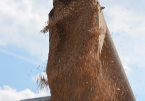 Rolnicy chętniej sprzedają płody rolne. Ceny bez zmian