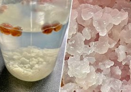 Był hitem lat 80. i 90. Teraz 