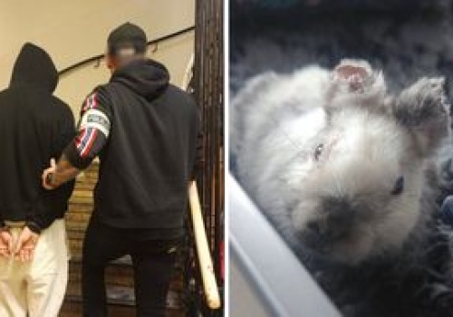 Okaleczył Marcysia. 21-latek trafił do aresztu